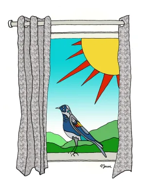 Black Bird