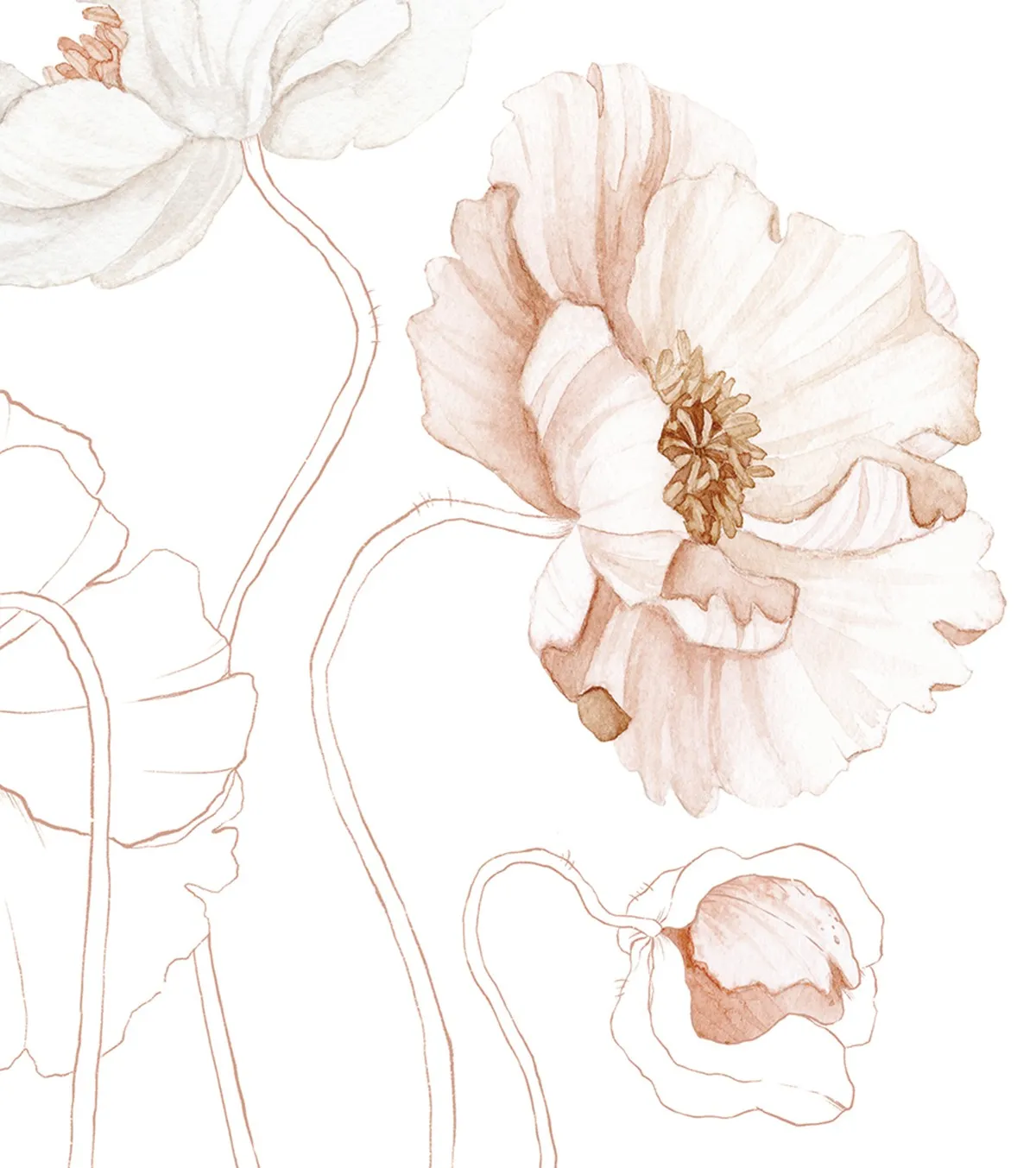 Islandic Poppies - Set Of 2 Art Prints - Poppy And Poetry