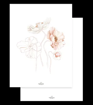 Islandic Poppies - Set Of 2 Art Prints - Poppy And Poetry